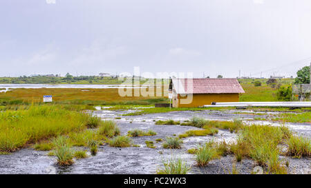 Il paesaggio del lago di passo, il più grande deposito naturale di asfalto nel mondo, La Brea, Trinidad e Tobago. È segnalato per essere 75 m di profondità. Foto Stock