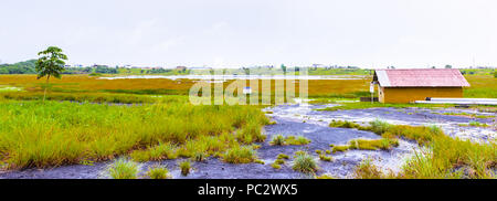 Il paesaggio del lago di passo, il più grande deposito naturale di asfalto nel mondo, La Brea, Trinidad e Tobago. È segnalato per essere 75 m di profondità. Foto Stock