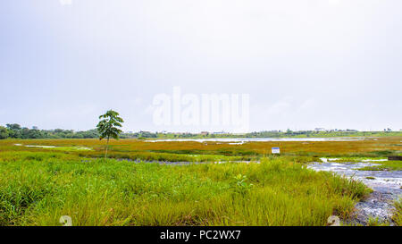 Il paesaggio del lago di passo, il più grande deposito naturale di asfalto nel mondo, La Brea, Trinidad e Tobago. È segnalato per essere 75 m di profondità. Foto Stock