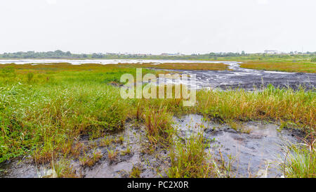 Vista del lago di passo, il più grande deposito naturale di asfalto nel mondo, La Brea, Trinidad e Tobago. È segnalato per essere 75 m di profondità. Foto Stock