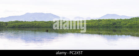 Panorama sul lago di Trinidad e Tobago, Sud America Foto Stock