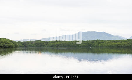 Panorama sul lago di Trinidad e Tobago, Sud America Foto Stock