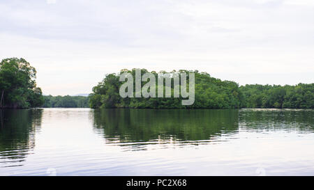 La natura e le acque di Trinidad e Tobago, Sud America Foto Stock