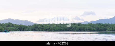 Lago di mangrovie in Trinidad e Tobago, Sud America Foto Stock