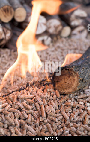 Biomassa di legno in fiamme - close up Foto Stock