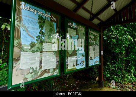 Informazioni Wooroonooran segno, Josephine Falls, Giuseppina cade a piedi, Bartle Frere QLD, Australia Foto Stock