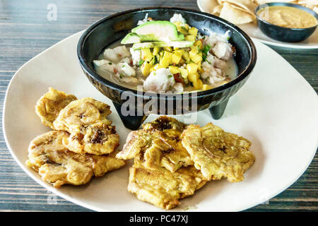 Miami Florida,Salsa Fiesta Mexican,ristorante ristoranti ristorazione cafe' cafe', interno,piatto,ceviche,tostones,plantain,pranzo,cibo,FL17120903 Foto Stock