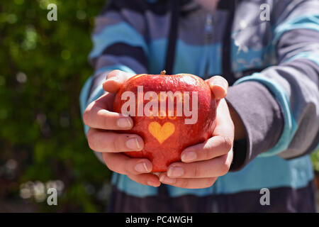 Donna mano azienda rossi freschi maturi whit apple ti amo testo/immagine concettuale di dieta e mangiare sano Foto Stock