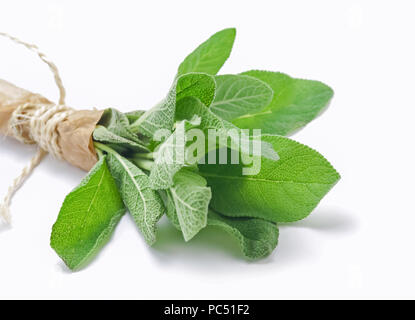 Mazzetto di salvia isolato su bianco Foto Stock