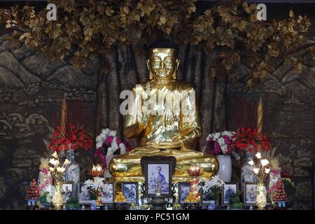 Minh Dang Quang tempio buddista. Golden Buddha con fiore di loto. Statua. Ho Chi Minh city. Il Vietnam. | Utilizzo di tutto il mondo Foto Stock