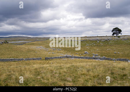 Malhamdale nel Yorkshire Dales National Park comprende la zona intorno a Malham Cove, Malham Tarn e Gordale Scar. Foto Stock