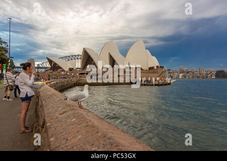 Sydney Opera House vista dal giardino botanico con Harbour Bridge in background. Australia: 02/04/18 Foto Stock