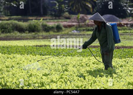 Campo agricolo. L'agricoltore vietnamita la spruzzatura di pesticidi. Kon Tum. Il Vietnam. | Utilizzo di tutto il mondo Foto Stock