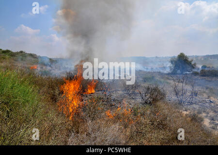 Campo di masterizzazione causato da Kite bombe che sono state percorse da Gaza con un acceso benzina panno imbevuto per impostare gli incendi all'israeliano i campi e le colture. Fotografato su Foto Stock