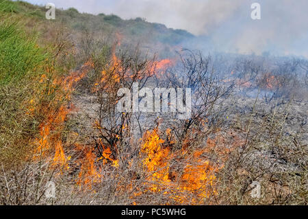 Campo di masterizzazione causato da Kite bombe che sono state percorse da Gaza con un acceso benzina panno imbevuto per impostare gli incendi all'israeliano i campi e le colture. Fotografato su Foto Stock