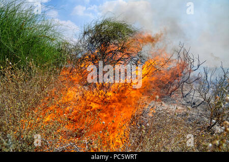 Campo di masterizzazione causato da Kite bombe che sono state percorse da Gaza con un acceso benzina panno imbevuto per impostare gli incendi all'israeliano i campi e le colture. Fotografato su Foto Stock