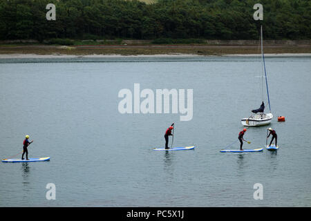 I bambini in neoprene su paddle boards su acque calme nel Menai Straits, tra Anglesey & Wales, Regno Unito. Foto Stock