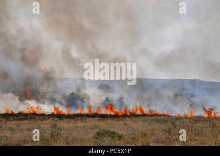 Campo di masterizzazione causato da Kite bombe che sono state percorse da Gaza con un acceso benzina panno imbevuto per impostare gli incendi all'israeliano i campi e le colture. Fotografato su Foto Stock