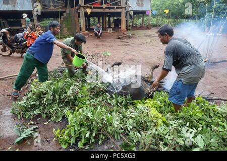 Jarai (Gia Rai) gruppo etnico. Buffalo sacrificio per i riti funebri. Kon Tum. Il Vietnam. | Utilizzo di tutto il mondo Foto Stock