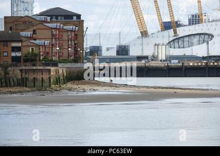 Londra. Il 31 luglio 2018. Meteo REGNO UNITO: Greenwich a bassa marea in un giorno caldo e soleggiato. Credito: Claire Doherty/Alamy Live News Foto Stock