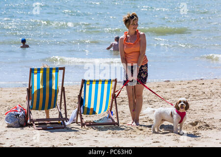Bournemouth Dorset, Regno Unito. Il 31 luglio 2018. Regno Unito: meteo il sole torna e temperature aumento come spiaggia frequentatori in testa al mare per godere il caldo clima soleggiato. donna azienda cane sul filo con sedie a sdraio sulla riva del mare sulla spiaggia. Credito: Carolyn Jenkins/Alamy Live News Foto Stock