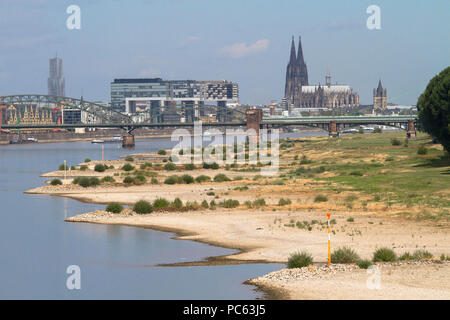 Colonia, Germania, 31 luglio 2018, acqua bassa del fiume Reno, sponde del fiume Reno in Cologne-Poll, vista del porto di Rheinau e la cattedrale. Credito: Joern Sackermann/Alamy Live News Foto Stock