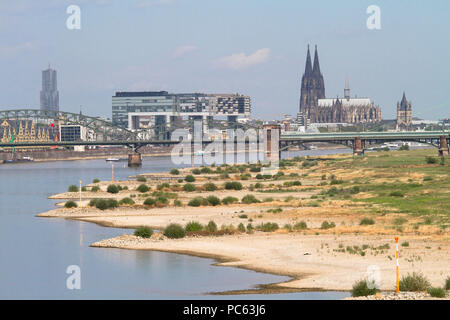 Colonia, Germania, 31 luglio 2018, acqua bassa del fiume Reno, sponde del fiume Reno in Cologne-Poll, vista del porto di Rheinau e la cattedrale. Credito: Joern Sackermann/Alamy Live News Foto Stock