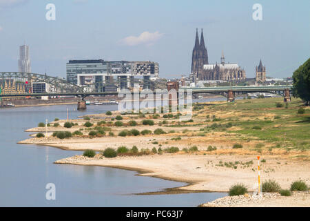 Colonia, Germania, 31 luglio 2018, acqua bassa del fiume Reno, sponde del fiume Reno in Cologne-Poll, vista del porto di Rheinau e la cattedrale. Credito: Joern Sackermann/Alamy Live News Foto Stock