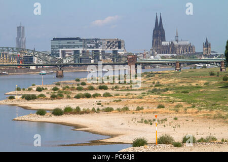 Colonia, Germania, 31 luglio 2018, acqua bassa del fiume Reno, sponde del fiume Reno in Cologne-Poll, vista del porto di Rheinau e la cattedrale. Credito: Joern Sackermann/Alamy Live News Foto Stock