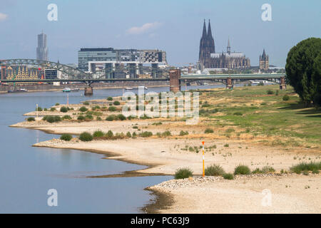 Colonia, Germania, 31 luglio 2018, acqua bassa del fiume Reno, sponde del fiume Reno in Cologne-Poll, vista del porto di Rheinau e la cattedrale. Credito: Joern Sackermann/Alamy Live News Foto Stock