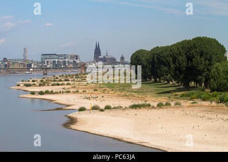 Colonia, Germania, 31 luglio 2018, acqua bassa del fiume Reno, sponde del fiume Reno in Cologne-Poll, vista del porto di Rheinau e la cattedrale. Credito: Joern Sackermann/Alamy Live News Foto Stock