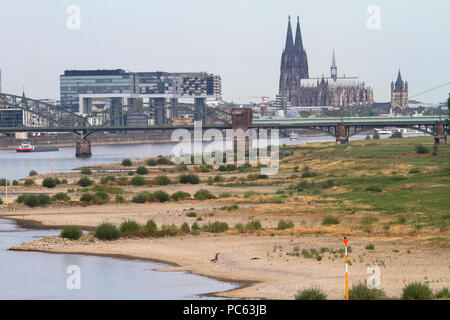 Colonia, Germania, 31 luglio 2018, acqua bassa del fiume Reno, sponde del fiume Reno in Cologne-Poll, vista del porto di Rheinau e la cattedrale. Credito: Joern Sackermann/Alamy Live News Foto Stock