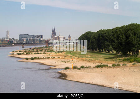 Colonia, Germania, 31 luglio 2018, acqua bassa del fiume Reno, sponde del fiume Reno in Cologne-Poll, vista del porto di Rheinau e la cattedrale. Credito: Joern Sackermann/Alamy Live News Foto Stock