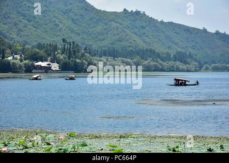 Manasbal, India. Luglio 31, 2018 - Manasbal, J&K, India - Battellieri del Kashmir turisti traghetto attraverso Manasbal lake, a circa trenta chilometri da Srinagar, Indiano Kashmir amministrato.Kashmir è il più settentrionale della regione geografica del subcontinente indiano. Attualmente è della contestazione di un territorio amministrato da tre paesi: India, Pakistan e Cina. Credito: Saqib Majeed SOPA/images/ZUMA filo/Alamy Live News Foto Stock