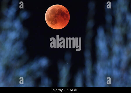 Capelli a Monaco di Baviera, Deutschland. 27 Luglio, 2018. Eclissi lunare totale - rame rosso-secolo spettacolo - fotografato il 27.07.2018 in Haar bei Muenchen, oggi le eclissi lunare totale è la più lunga in questo secolo. | Utilizzo di credito in tutto il mondo: dpa/Alamy Live News Foto Stock