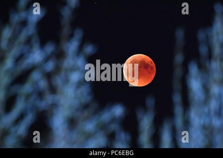 Capelli a Monaco di Baviera, Deutschland. 27 Luglio, 2018. Eclissi lunare totale - rame rosso-secolo spettacolo - fotografato il 27.07.2018 in Haar bei Muenchen, oggi le eclissi lunare totale è la più lunga in questo secolo. | Utilizzo di credito in tutto il mondo: dpa/Alamy Live News Foto Stock