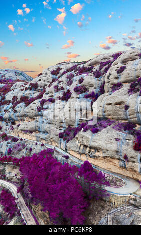 Paesaggio surreale.Scenic la foresta e la montagna.scenario naturale di scena in tonalità porpora Foto Stock