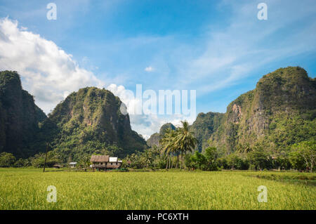 Bellissimo calcare in Rammang Rammang parco vicino Makassar, Sulawesi meridionale, Indonesia Foto Stock