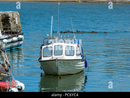 Una vista attraverso il porto a Cemaes Bay sull'Isola di Anglesey, Galles del Nord, Regno Unito. Preso il 17 luglio 2018. Foto Stock