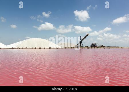 Le saline di Aigues Mortes, Francia Foto Stock