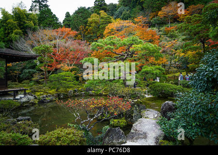 Kyoto, Giappone - 20 Nov 2016. Giardino Zen di antico tempio in autunno a Kyoto, in Giappone. Foto Stock