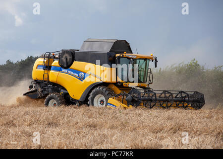 Macchina mietitrebbiatrice la raccolta di orzo in Norfolk, Regno Unito. Foto Stock