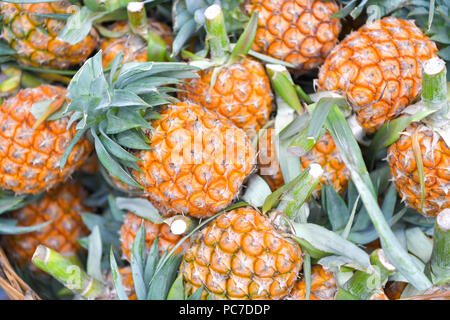 Ananas fresco (Ananas comosus) nel mercato a Khlong Lat Mayům mercato galleggiante di Bangkok, Tailandia. Foto Stock