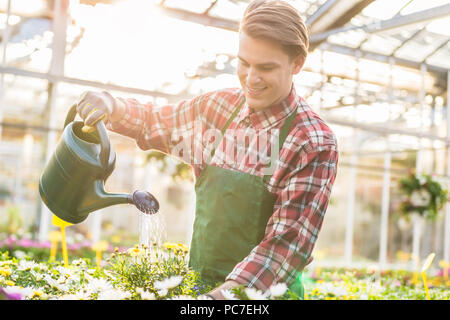 Esperti giovane houseplants irrigazione mentre lavora come un fioraio Foto Stock