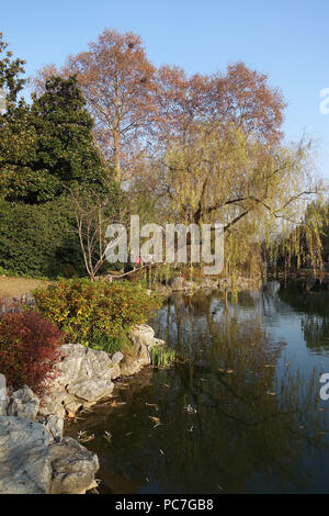 Parco cinese di Hangzhou vicino Lago Xihu Cina. Bellissimi alberi di salice lungo il fiume Foto Stock