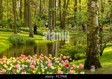 I bellissimi giardini Keukenhof, in Lisse, Paesi Bassi. Con i tulipani fiorisce in primo piano e foderato di erba la molla attraverso gli alberi per essere ammirata da vis Foto Stock