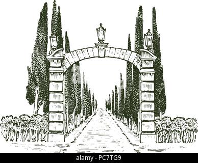 Cancelli vintage. Porte in stile vittoriano o un antico arco. Ingresso al giardino o nel parco in background di alberi. Incisi disegnati a mano il vecchio sketch. Illustrazione Vettoriale Illustrazione Vettoriale