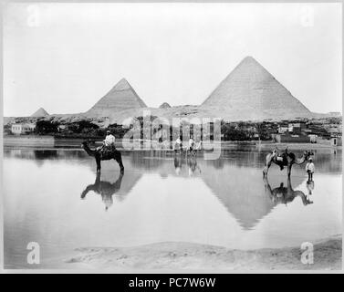 La foto mostra gli uomini sui cammelli e un uomo in piedi accanto a un cammello Nello shallow acqua di inondazione, con piramidi sullo sfondo, in Egitto. 1890-1900 Foto Stock