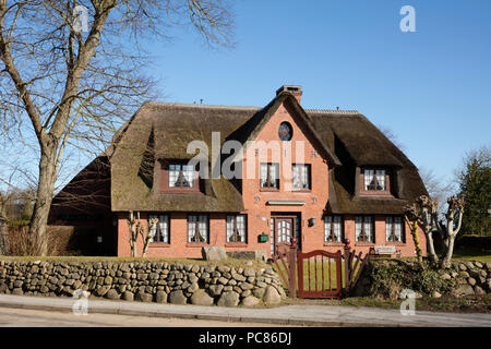 Tetto di Paglia house, Keitum, Sylt, Nord isola frisone, Frisia settentrionale, Schleswig-Holstein, Germania, Europa Foto Stock