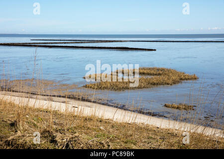 Parco nazionale del mare di Wadden, Sylt, Nord isola frisone, Frisia settentrionale, Schleswig-Holstein, Germania, Europa Foto Stock